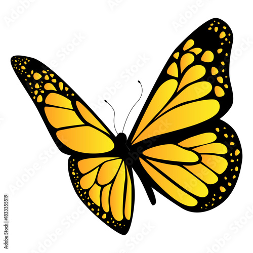 Yellow butterfly design