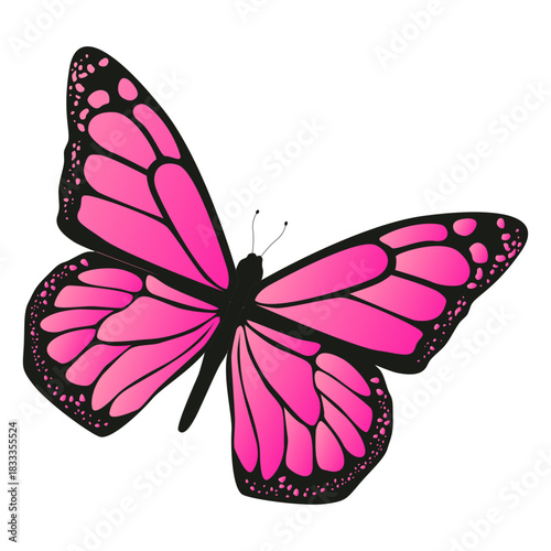 Detailed pink butterfly vector