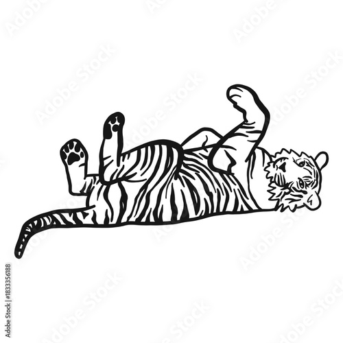 Tiger muzzle stripe lying tail ear doodle cat