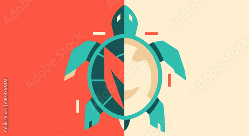 Stylized Turtle Illustration with Geometric Design Elements.