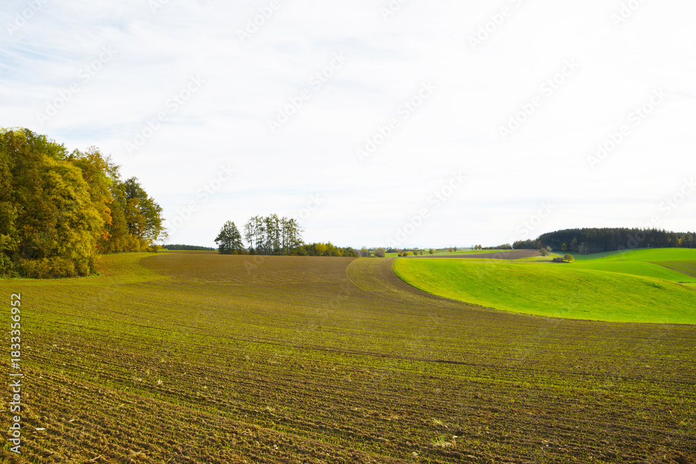 Fototapeta premium Feldlandschaft, Herbst