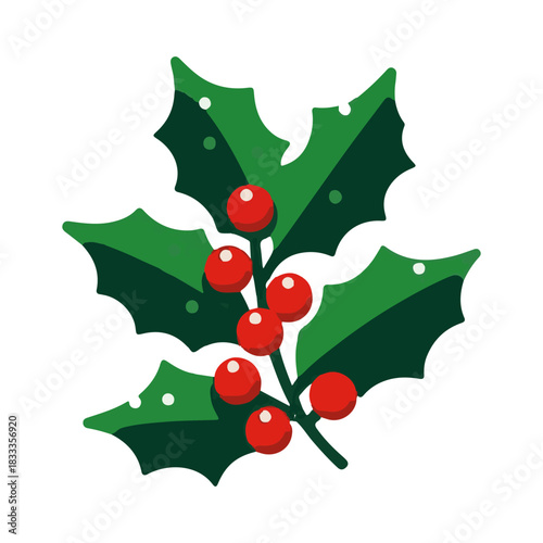 holly plant illustration design