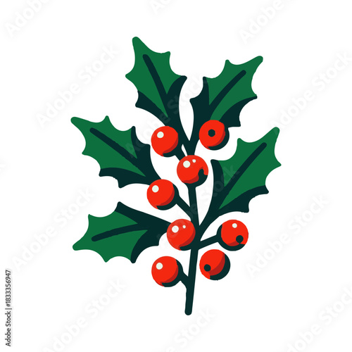holly plant illustration design
