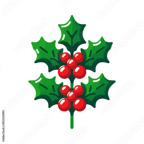 holly plant illustration design