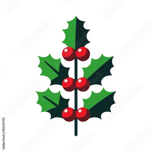 holly plant illustration design