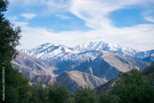 Angeles National Forest