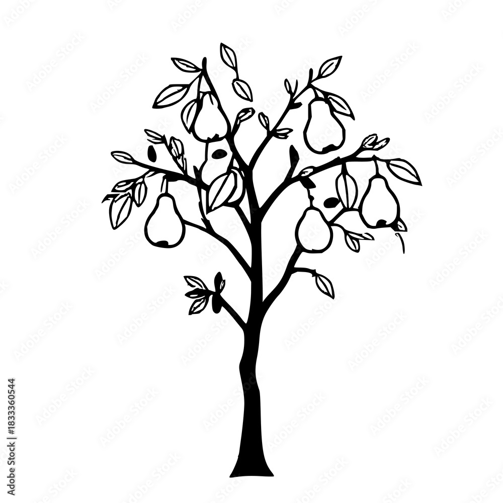 Obraz premium Single Black Silhouette Fruit Tree with Pears and