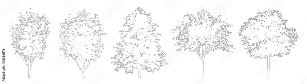 Obraz premium Minimal CAD tree outline drawings, side view trees for architectural and landscape projects
