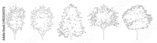 Minimal CAD tree outline drawings, side view trees for architectural and landscape projects