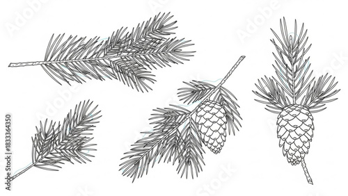 Elegant pine branch and cone line art for Christmas designs, holiday cards, and winter crafts, originally a scalable graphic for beautiful festive creations