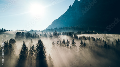 Bilde på lerret Sun Rays Breaking through Morning Fog over Forest
