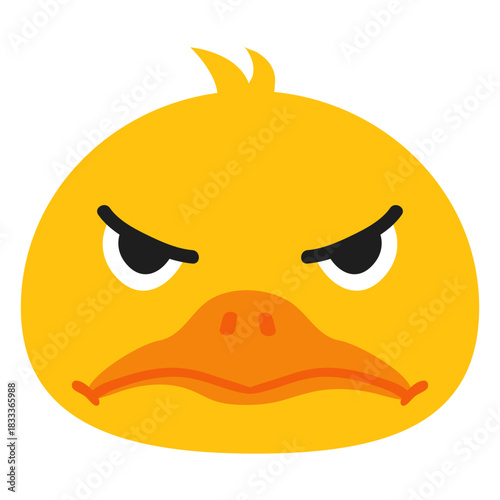 Duck angry muzzle head flat