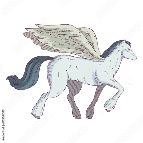 Pegasus horse colored coloured illustration