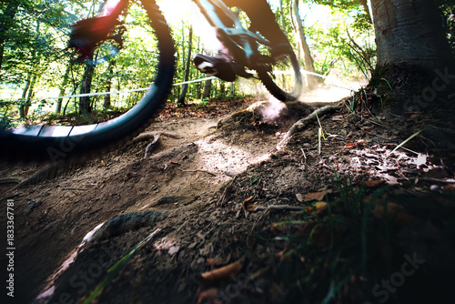 Mountain biker racing on rugged forest trail with dynamic motion blur. Backlight highlights dust and roots. Action, speed, adventure concept