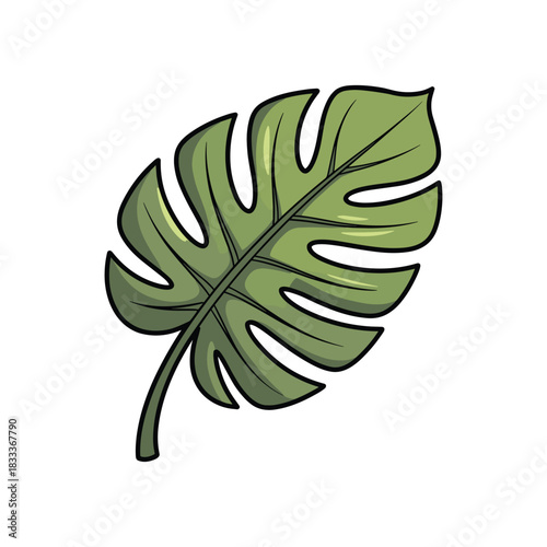A digitally illustrated split-leaf philodendron isolated on a white background. Exotic, tropical.