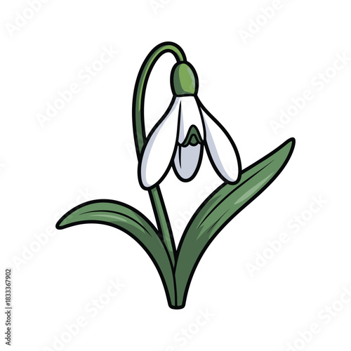 A serene snowdrop flower with pure white petals and vibrant green leaves stands tall elegantly. 