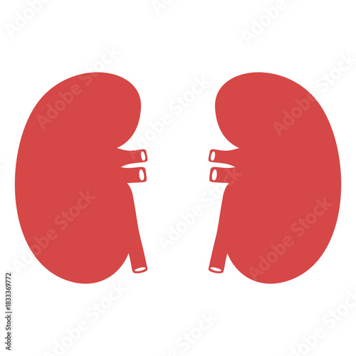 Human kidneys red silhouette