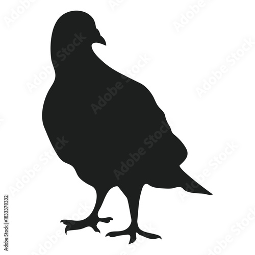 Standing pigeons silhouette