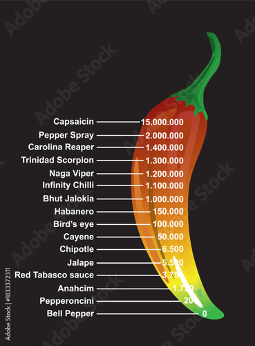 Chilly paper levels. vector illustration	
