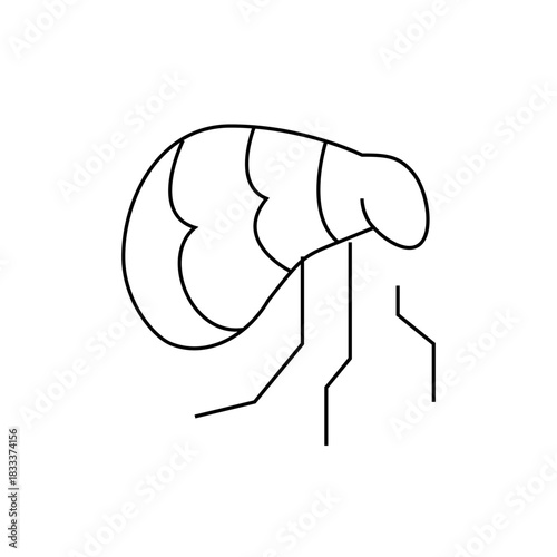 Illustration of a flea with segmented body and thin legs in a minimalist black and white style design