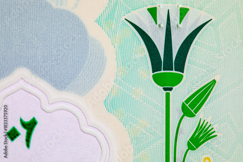 20 Pounds Egypt with a fragment of the image for designers. National currency Egypt. Polymer money.