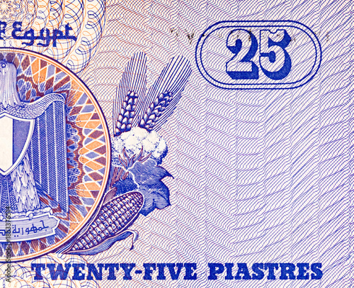 Egypt 25 Piastres 2004 Banknotes with the image of the Egyptian coat of arms. Money of Egypt.