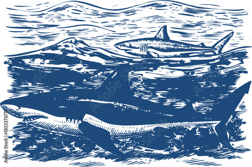 Two Blue Sharks Swimming in Textured Water with Waves fish animal