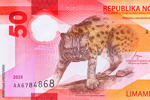 50 Piso Philippines, New Polymer Note 2025 with Visayan Leopard. Philippine Money