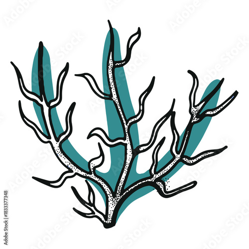 Ocean stroke seaweed