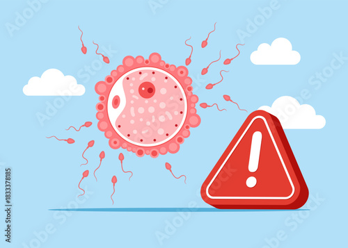 Fertilization with exclamation attention sign. Critical days. Development of the embryo. From ovulation to implantation. Human anatomy. Fertilization, zygote, cleavage, morula, blastocyst. Vector