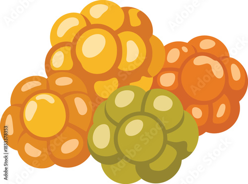 Cloudberry aggregate fruit vector illustration group of ripe orange and unripe green berries design