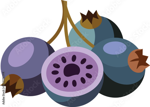 Blue purple berries cluster illustration fresh ripe fruit group half cut open revealing seeds vector drawing