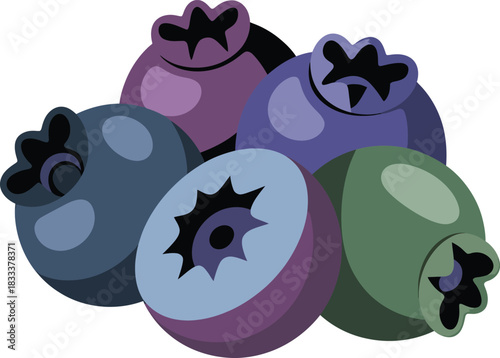 Cultivated blueberries whole and cut open vector illustration design isolated healthy raw food group.
