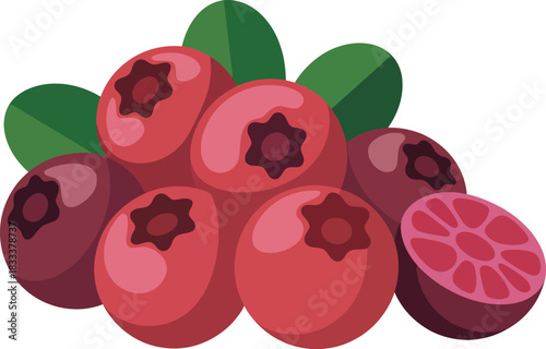 Vaccinium vitisidaea lingonberries group vector illustration design natural raw healthy food produce.