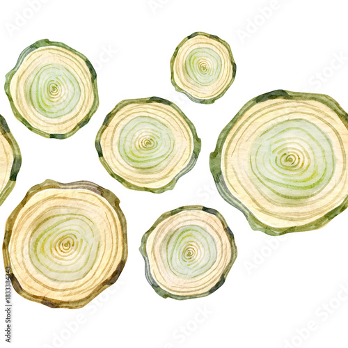 Watercolor seamless border with natural wood slices featuring soft rings and organic textures. Rustic botanical design perfect for eco projects, packaging, invitations, craft decor, and nature
