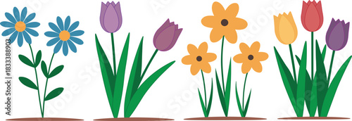 Collection of spring flower varieties arranged into four separate categories. vector illustration