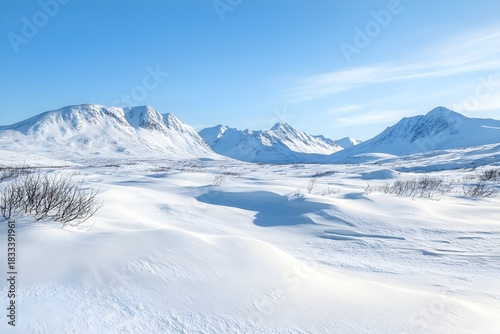 Vast Snow-Covered Landscape with Mountains Under a Clear Blue Sky