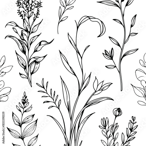 Blend retro botanical sketches with modern minimal line art plants, gentle curves, white backdrop, classic meets modern