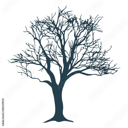 Tree trunk branch silhouette
