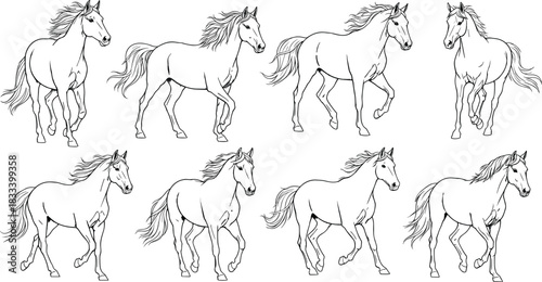 Vector Line Art Set of Galloping and Trotting Horses, Black and White Outlines of Dynamic Equine Figures for Animation or Graphic Design