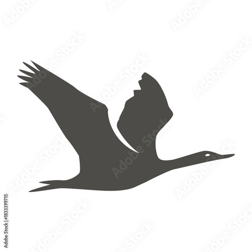Cormorant flying silhouette