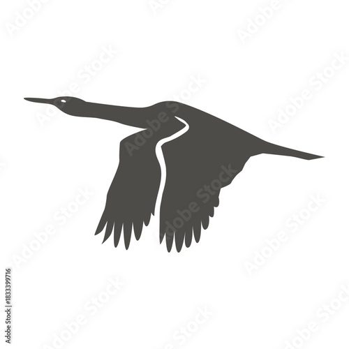 Cormorant silhouette