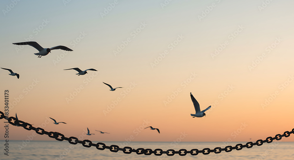 Fototapeta premium Tranquil scene of seagulls in flight during a warm sunset near water