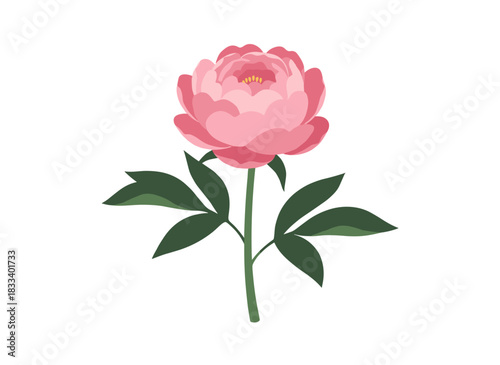 Displayed on a white background, a pink Japanese peony blooms gracefully with stem and leaves, serving as a gentle oriental floral clip‑art element in flat vector form