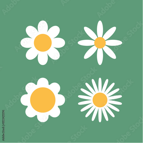 Flower chamomile vector icon. Cartoon camomile white retro spring floral icon design set