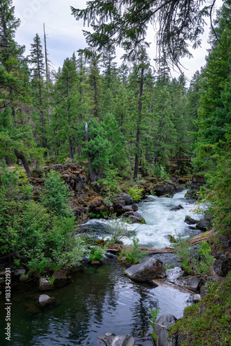 Canvastavla Water whitewater state park Oregon stream creek river rocky