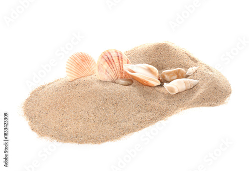 Heap of sand, seashells and...