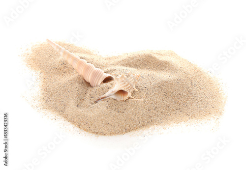 Heap of sand with seashells...