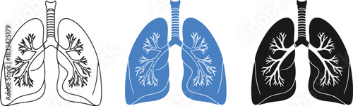 Human lungs illustration, respiratory system anatomy, trachea bronchi bronchioles, medical vector set, flat design, flat vector illustration
