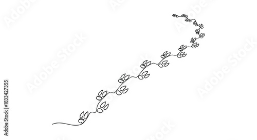 Delicate hand drawn vine with small leaves curving gracefully on a white background